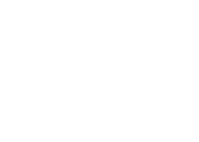 brand-logo1